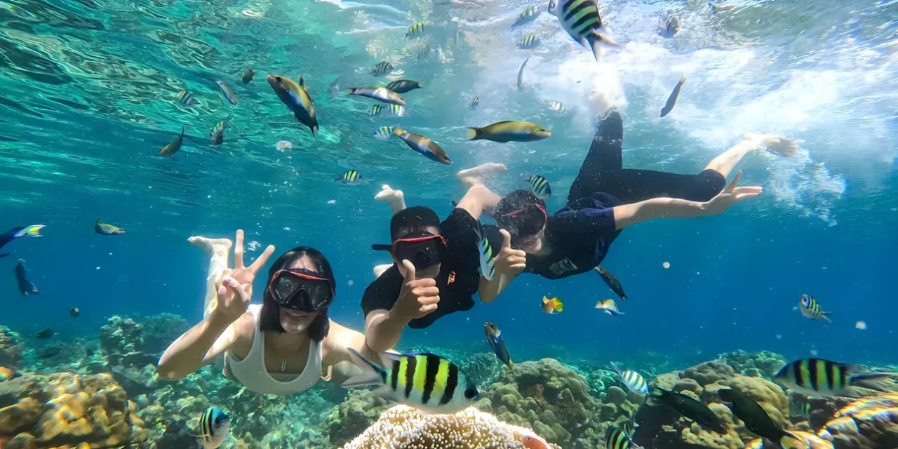 Gili Trawangan, Gili Meno and Gili Air Snorkeling Tour ( Meeting point at Gili Trawangan)