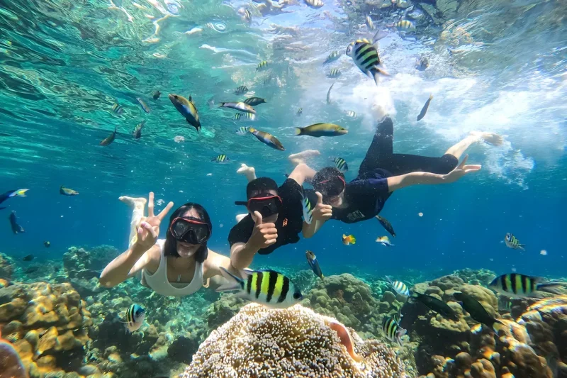 Gili Trawangan, Gili Meno and Gili Air Snorkeling Tour ( Meeting point at Gili Trawangan)