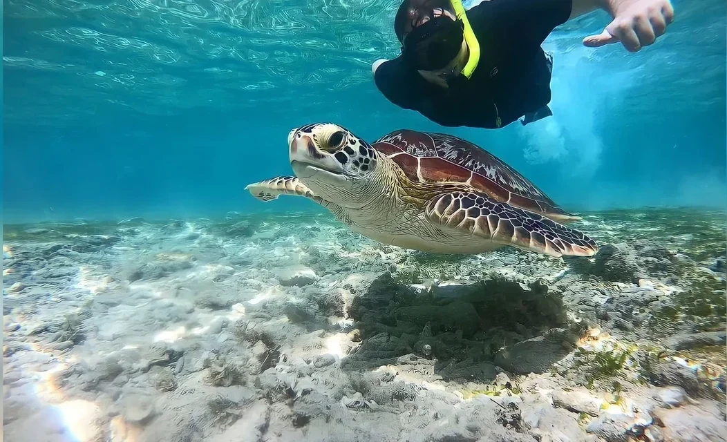 Gili Trawangan, Gili Meno and Gili Air Private Snorkeling Day Tour From Lombok