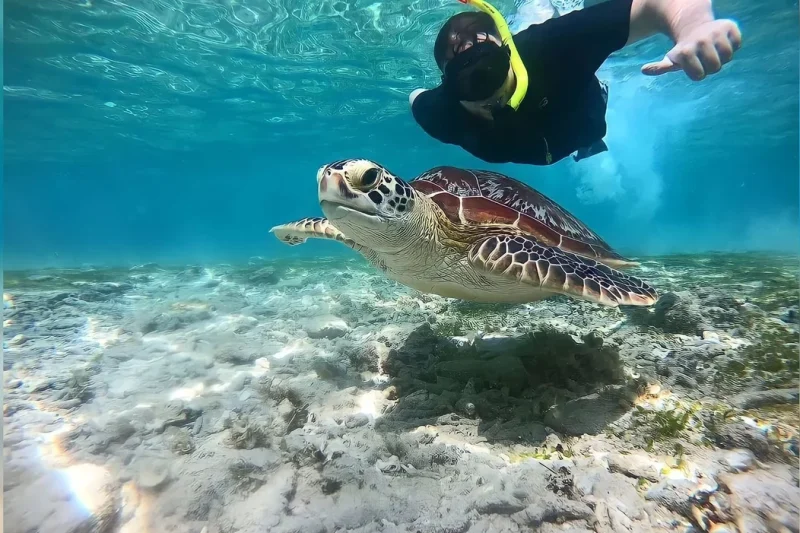 Gili Trawangan, Gili Meno and Gili Air Private Snorkeling Day Tour From Lombok