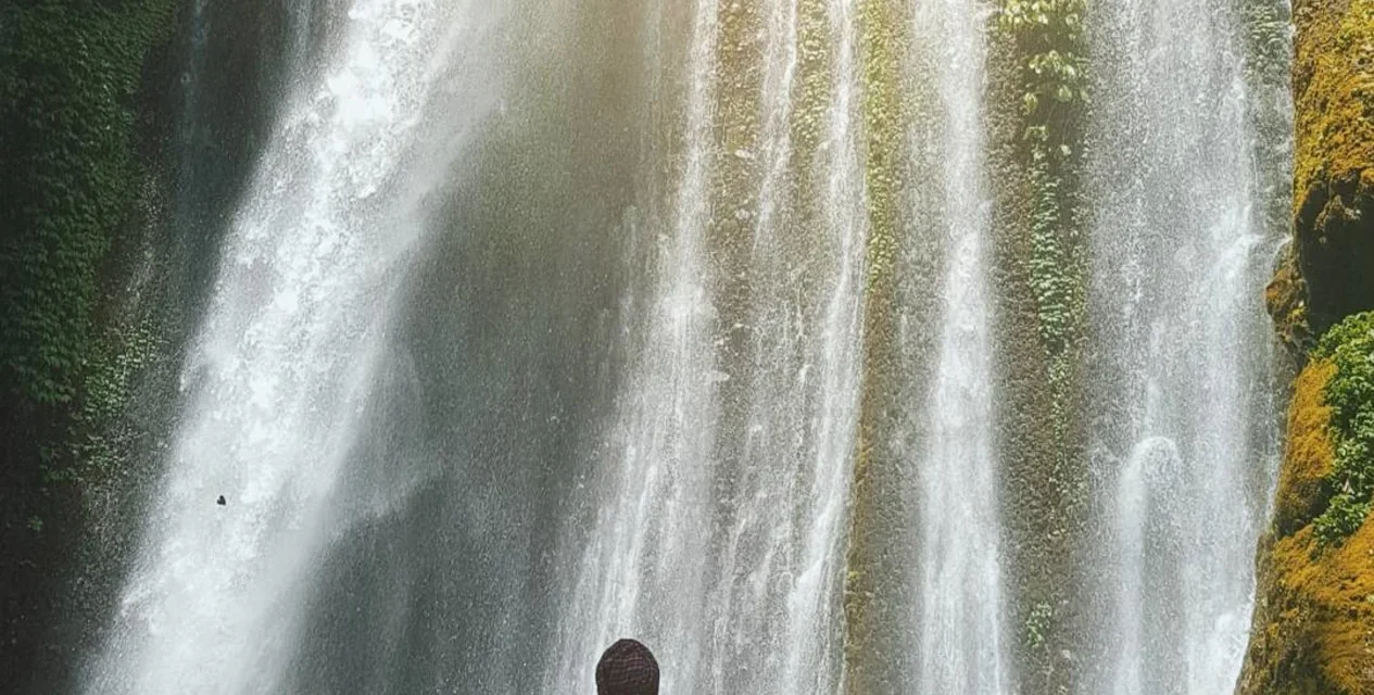 Lombok Highlight Sendang Gile and Tiu Kelep Waterfall Private Tour