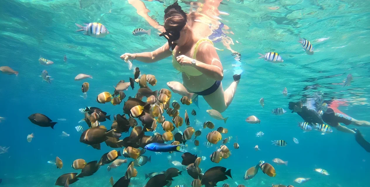 Gili Nanggu, Gili Sudak, and Gili Kedis Island Day Tour