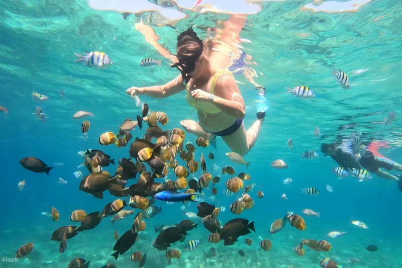 Gili Nanggu, Gili Sudak, and Gili Kedis Island Day Tour