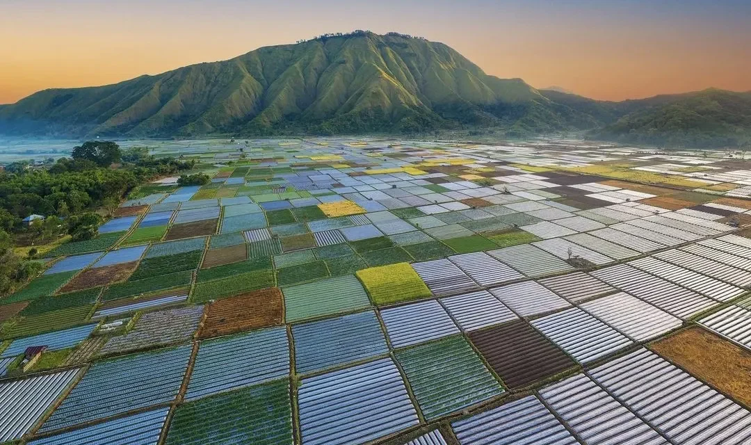 Pergasingan Hill Private Day Tour in Lombok