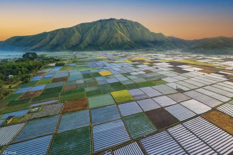 Pergasingan Hill Private Day Tour in Lombok