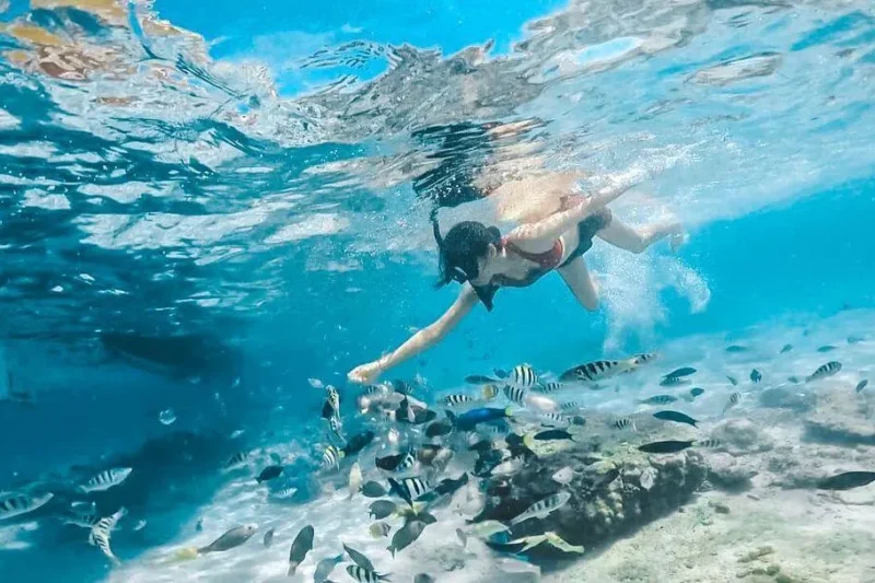 Gili Trawangan, Gili Meno and Gili Air Snorkeling Tour and Photographer from Lombok.