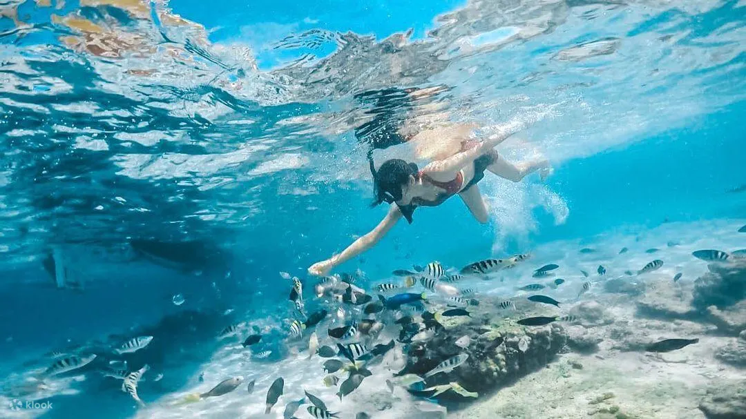 Gili Trawangan, Gili Meno and Gili Air Snorkeling Tour and Photographer from Lombok.