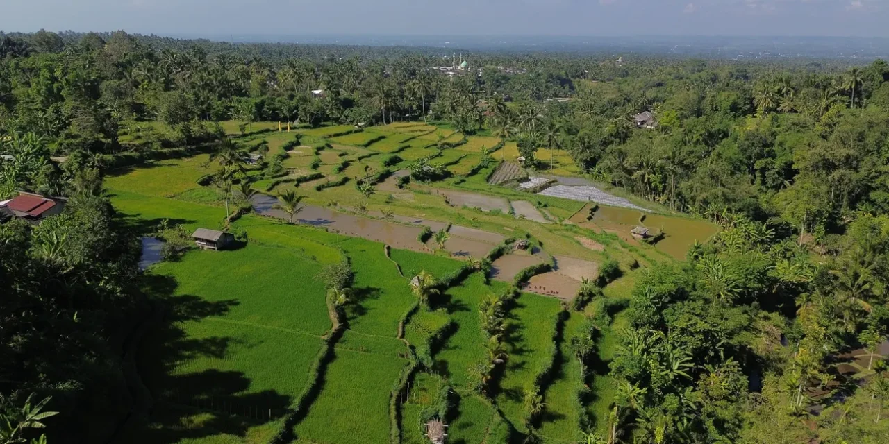 Lombok Tetebatu Full-Day Private Tour
