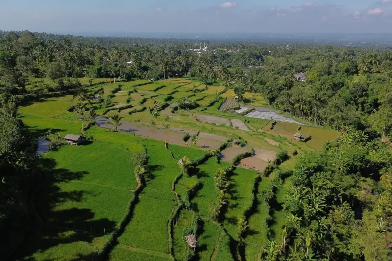 Lombok Tetebatu Full-Day Private Tour