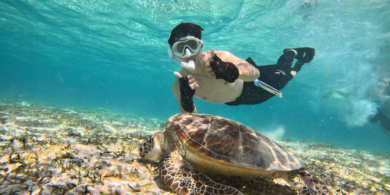 Gili Trawanagan, Gili Meno, Gili Air Snorkeling Tour and Photographer (Meeting point at Gili Trawangan)