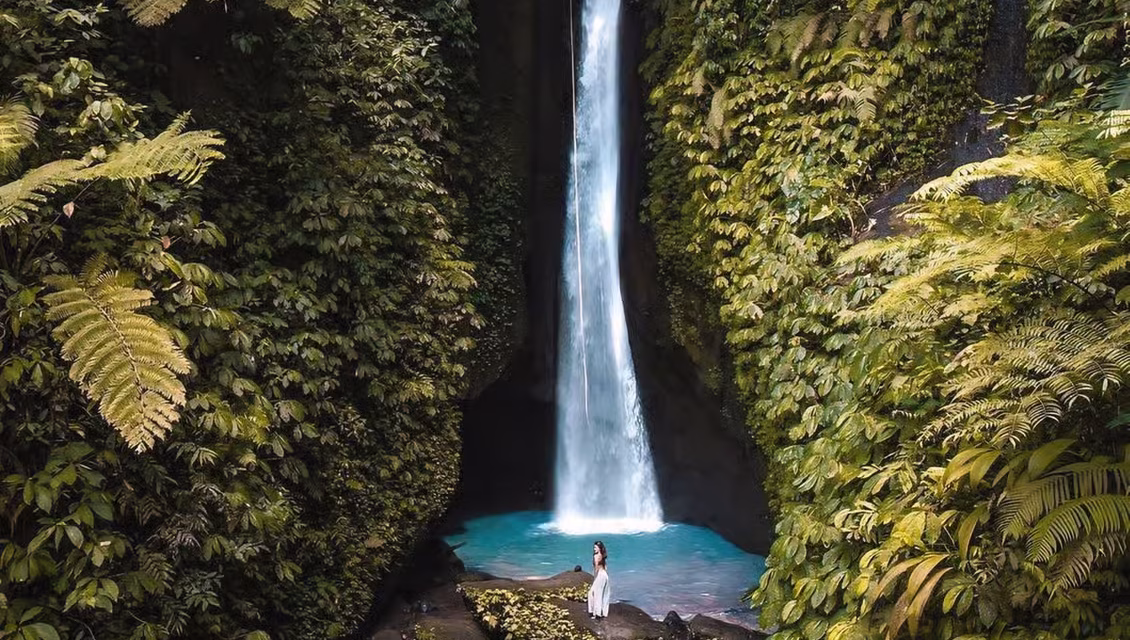 North Bali: Jungle Waterfalls and Rice Terraces Private Tour